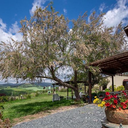 Agriturismo Il Canterino Guardistallo Esterno foto
