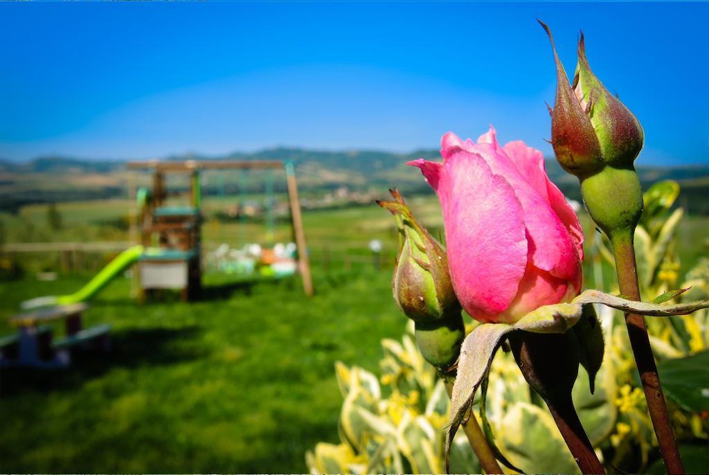 Agriturismo Il Canterino Guardistallo Esterno foto